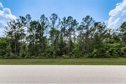 10774 Ruger Road, Willis, TX 77378 - Photo 6