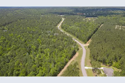 10774 Ruger Road, Willis, TX 77378 - Photo 20