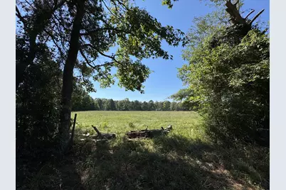 Tbd County Road 3550, Woodville, TX 75979 - Photo 6