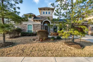 10410 Southern Hawker, Conroe, TX 77385 - Photo 4