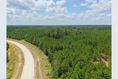 12046 Compassion Lane, Willis, TX 77378 - Photo 4