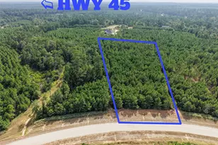 12046 Compassion Ln, Willis, TX 77378 - Photo 1