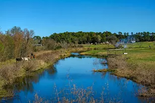 10802 County Rd 203, Plantersville, TX 77363 - Photo 20