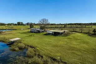 10802 County Rd 203, Plantersville, TX 77363 - Photo 1