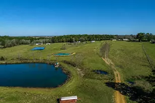 10802 County Rd 203, Plantersville, TX 77363 - Photo 22