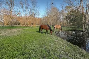 4935 FM1409, Dayton, TX 77535 - Photo 4