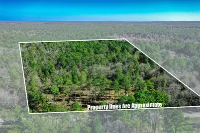 97 Utley Road, Huntsville, TX 77320 - Photo 2