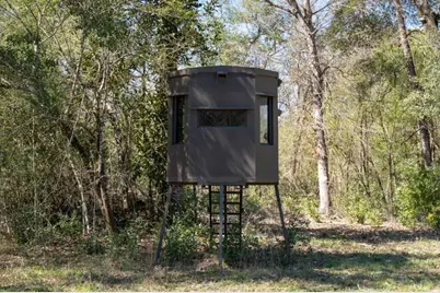 2489 Fm 256 S, Woodville, TX 75979 - Photo 18