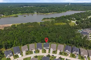 298 Sky Top Dr Dr, Montgomery, TX 77316 - Photo 36