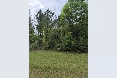 003 E Tbd Schwab Rd / Sh 146 Road, Livingston, TX 77351 - Photo 1