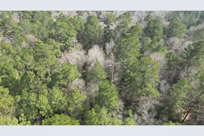 Lot 10 Winchester Road, Huntsville, TX 77340 - Photo 30