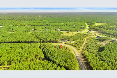 16086 Forest Mill Road, Willis, TX 77378 - Photo 1