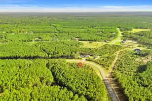 16086 Frst Ml Rd, Willis, TX 77378 - Photo 1