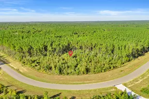 16086 Frst Ml Rd, Willis, TX 77378 - Photo 2