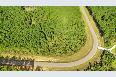 16086 Forest Mill Road, Willis, TX 77378 - Photo 6