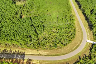 16086 Frst Ml Rd, Willis, TX 77378 - Photo 6