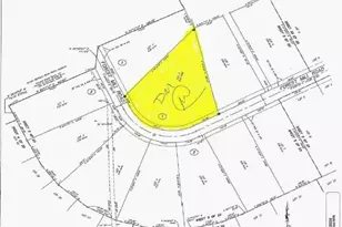 16086 Frst Ml Rd, Willis, TX 77378 - Photo 4