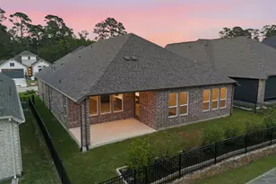 10025 Larkin Cv, Willis, TX 77318 - Photo 36