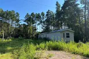 000 Hawthorne Ln, Plantersville, TX 77363 - Photo 8