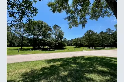2 Harmony Arbor Court, The Woodlands, TX 77382 - Photo 4