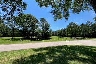 2 Harmony Arbor Ct, The Woodlands, TX 77382 - Photo 4