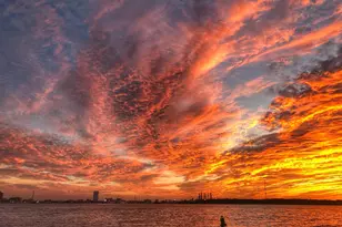 2010 Strand St, Galveston, TX 77550 - Photo 12