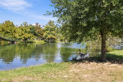 22731 Ford Road, Porter, TX 77365 - Photo 6