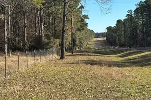 765 Fm 2781, Lovelady, TX 75851 - Photo 4