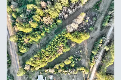 Tract 41-C & 41-D Fm 2610, Livingston, TX 77351 - Photo 4