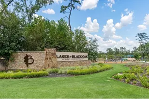 8411 Sweet Cherry Ln, Magnolia, TX 77354 - Photo 26