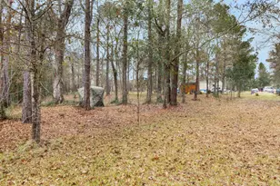 480 Private Rd 1330, Liberty, TX 77575 - Photo 28