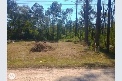 190 James Street, Coldspring, TX 77331 - Photo 4