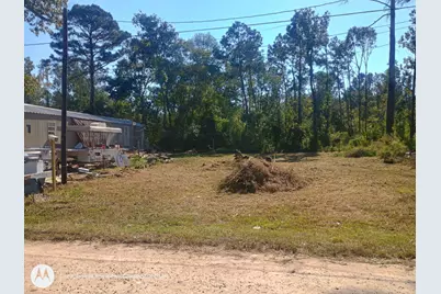 190 James Street, Coldspring, TX 77331 - Photo 2