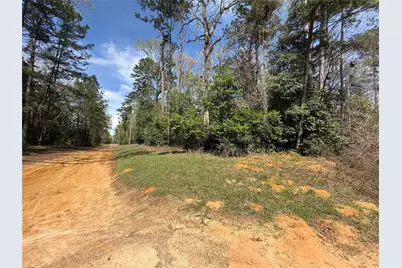 Tbd Glenn Barber Dale Evans Road, Livingston, TX 77351 - Photo 4