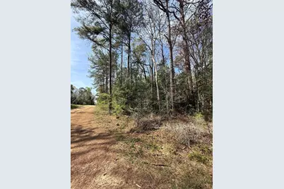 Tbd Glenn Barber Dale Evans Road, Livingston, TX 77351 - Photo 8