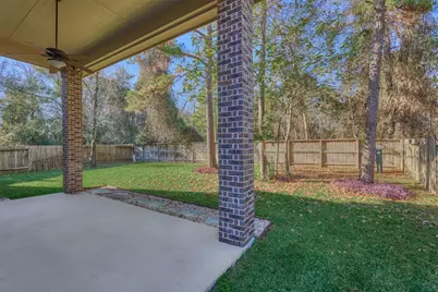 163 Reese Run Street, Montgomery, TX 77316 - Photo 44