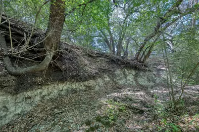 Tbd Cedar Hill Road, Brenham, TX 77833 - Photo 6