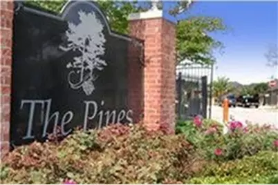 917 Sweet Pine Drive, Katy, TX 77450 - Photo 30
