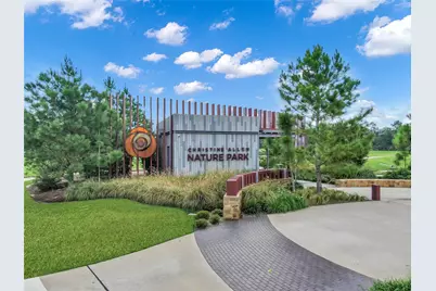190 Climbing Oaks Place, Montgomery, TX 77316 - Photo 44