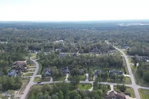 27079 W Balsam Fir Cir, Spring, TX 77386 - Photo 46