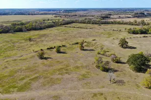 280 Acres Spring Branch Rd, Montgomery, TX 77316 - Photo 6