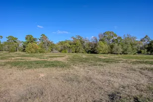 280 Acres Spring Branch Rd, Montgomery, TX 77316 - Photo 4