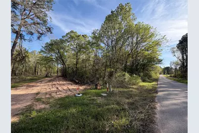 Tbd Jackson Road, Coldspring, TX 77331 - Photo 4