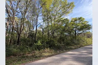 Tbd Jackson Road, Coldspring, TX 77331 - Photo 8
