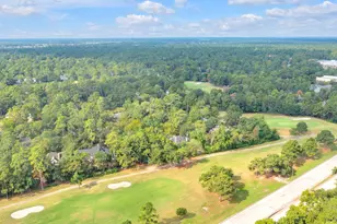 70 N Skyflower Ct, The Woodlands, TX 77381 - Photo 38