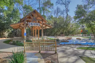 118 Forest Elk Pl, Montgomery, TX 77316 - Photo 6