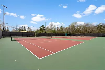 118 Forest Elk Place, Montgomery, TX 77316 - Photo 38