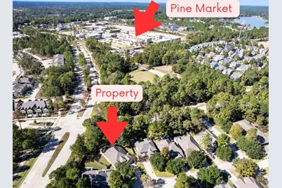 118 Forest Elk Place, Montgomery, TX 77316 - Photo 2