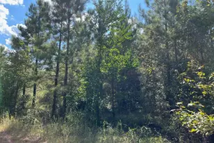 16023 Ridge Oak Rd, Willis, TX 77378 - Photo 4