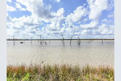 208 Pony Trail, Angleton, TX 77515 - Photo 50